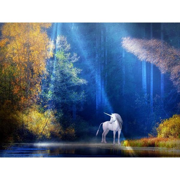 Unicorn By The Lake