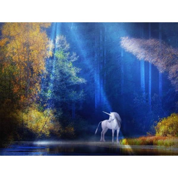 Unicorn By The Lake