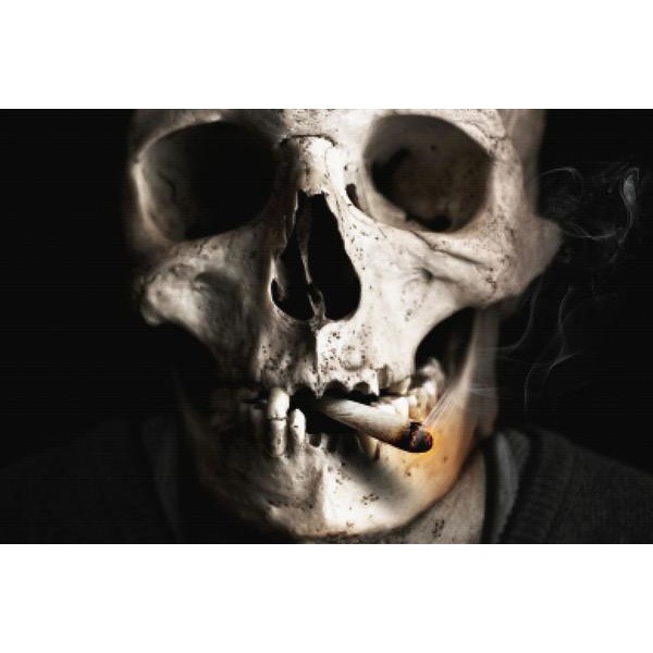 Skulls And Crossbones