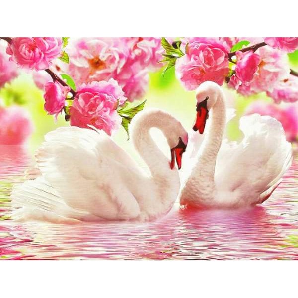 Swans In Love