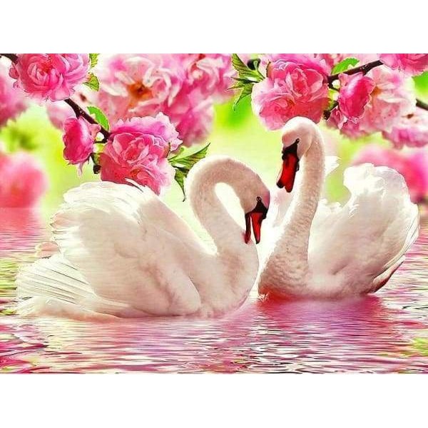 Swans In Love