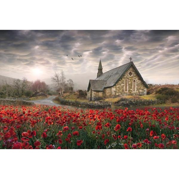 The Coming Storm - Ships From US