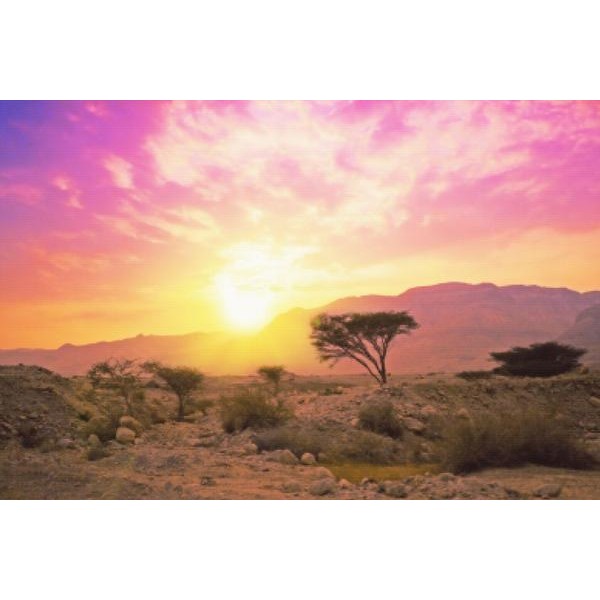 Sunset In The Desert