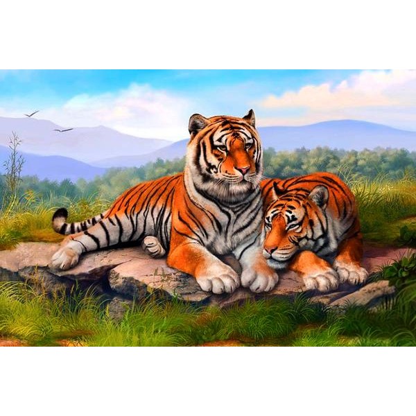 Two Tigers Relaxing