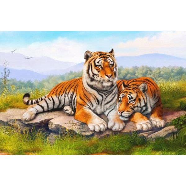 Two Tigers Relaxing