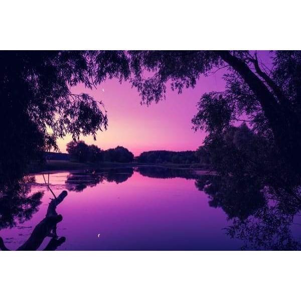 Magical Purple Sunrise