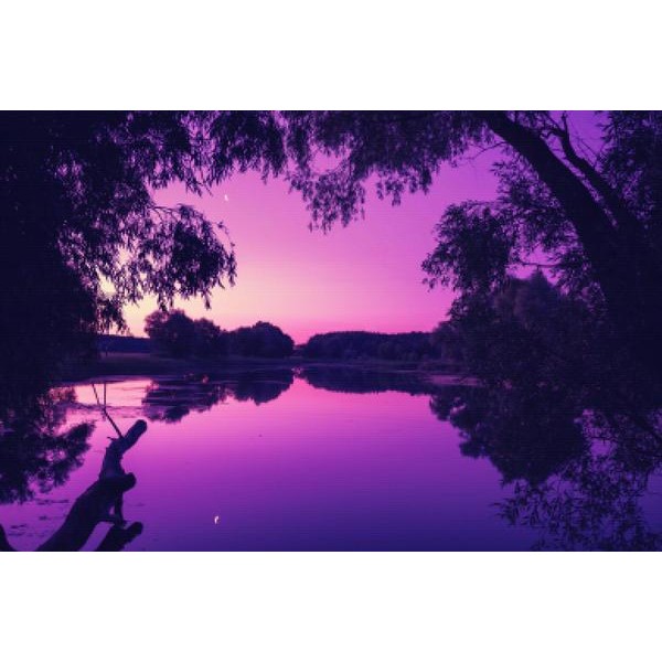 Magical Purple Sunrise