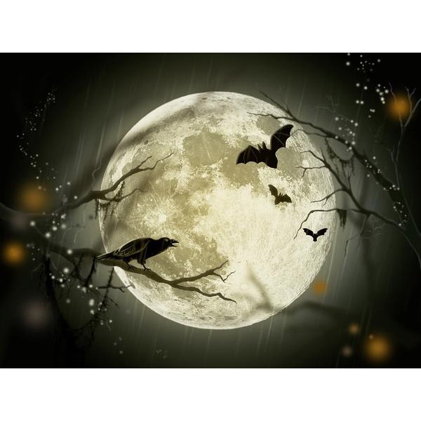 Full Moon On Halloween
