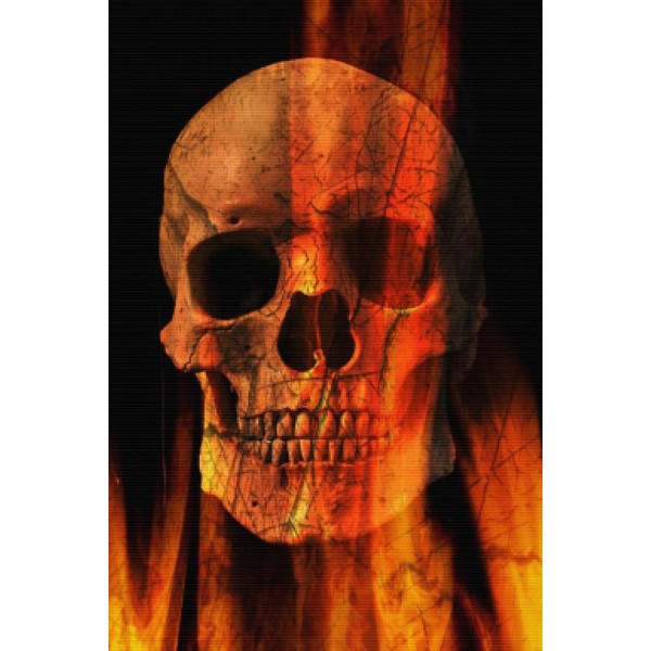 Flaming Skull And Crossbones