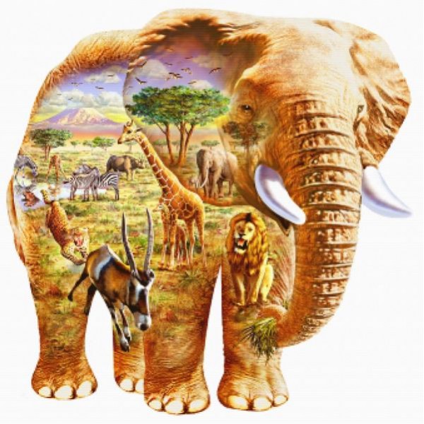 Elephant Puzzle