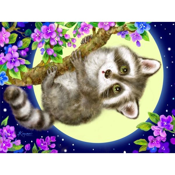 Raccoon In The Moonlight