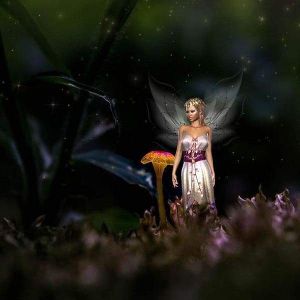 Fairy On The Forest Floor