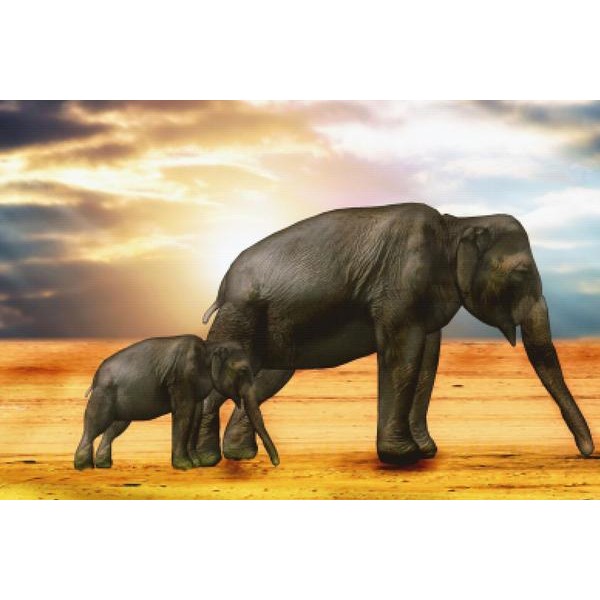 Mother And Daughter Elephant