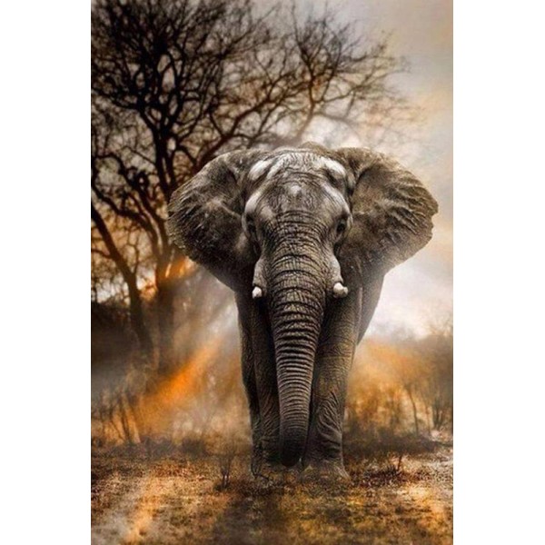 Illustrious Elephant - Ships From US