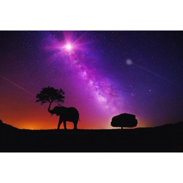 Elephant In Another Galaxy