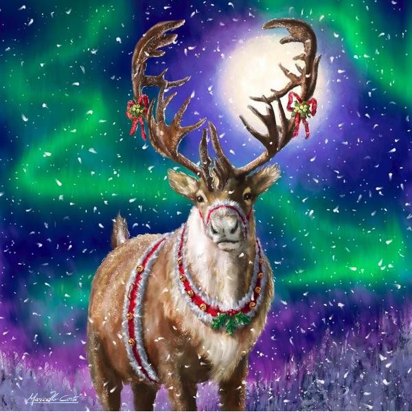 Reindeer Aurora Borealis