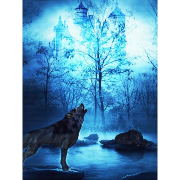 Wolf Castle Night