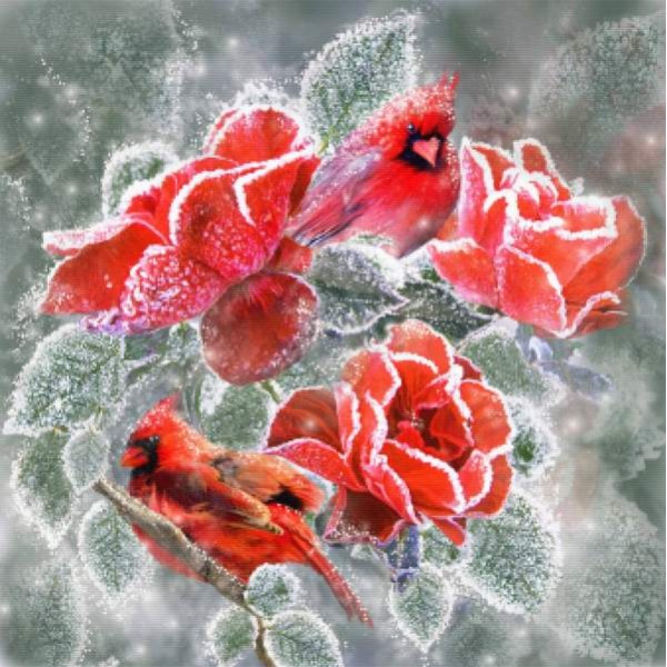 Winter Roses Cardinals