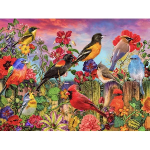 Birds and Blooms Garden