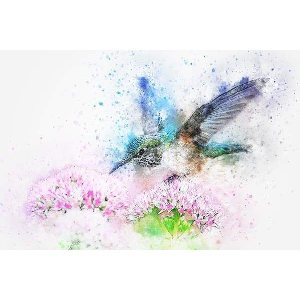 Hummingbird Watercolor