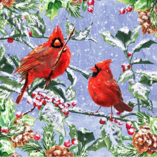 Pair Of Cardinals
