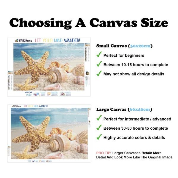 Sandy Shells - Ships From US