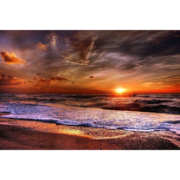 Standing At The Shore - Ships From US