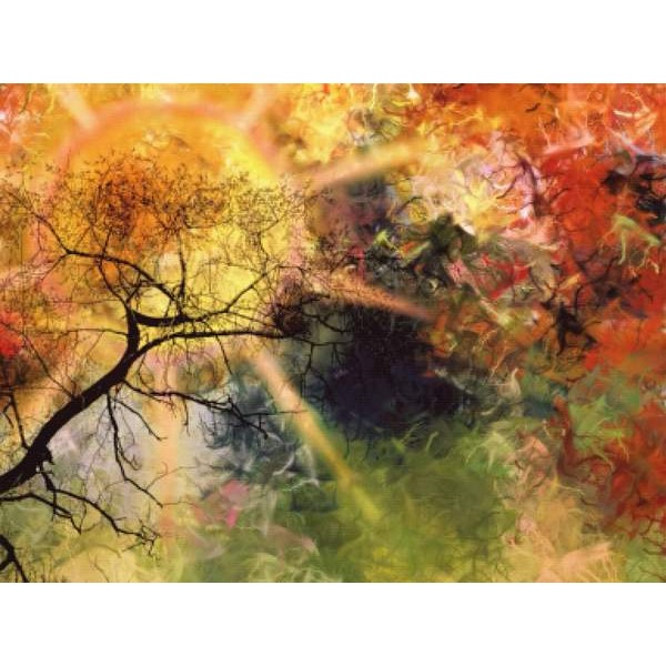 Branches Into Eternity