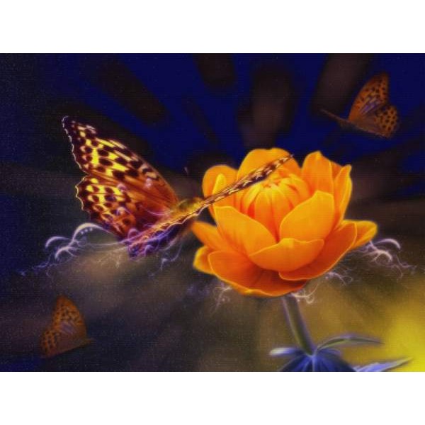 Flowers And Butterflies