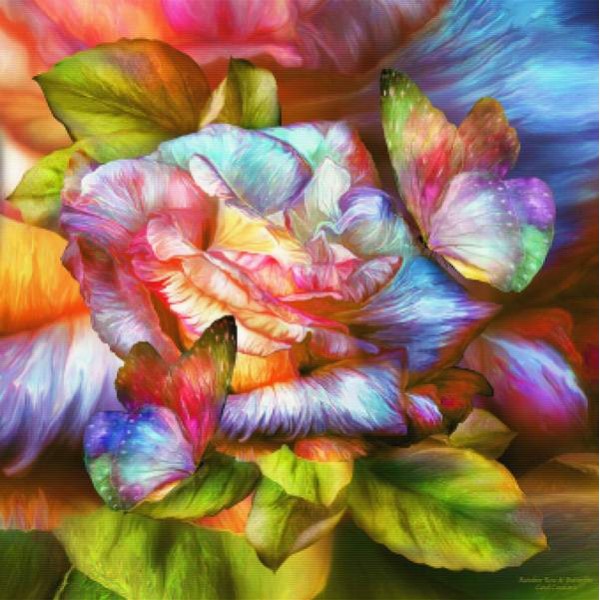Rainbow Rose And Butterflies