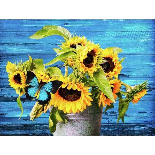 Sunflowers With Blue Butterfly