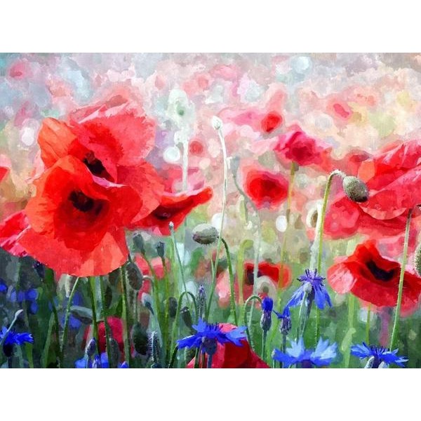 Red Poppies and Blue Cornflowers