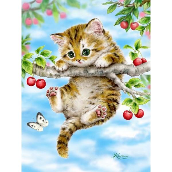 Cherry Kitten
