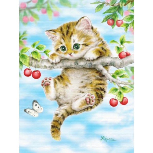 Cherry Kitten
