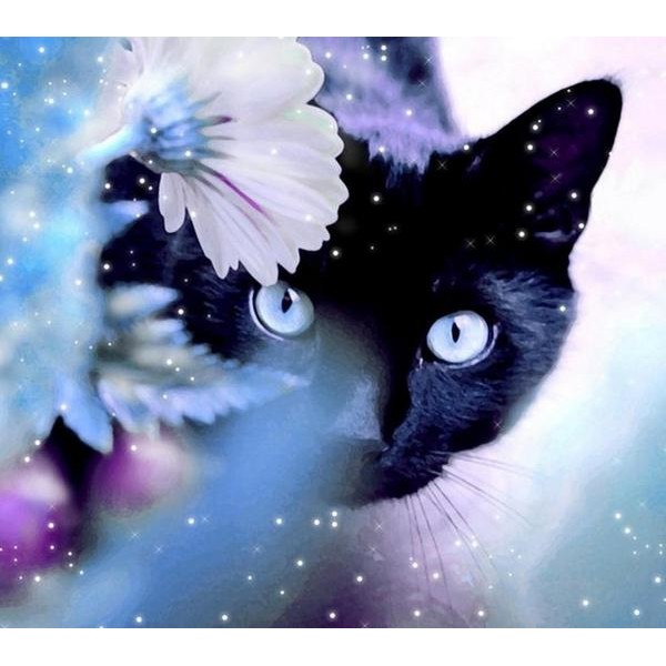 Violet Kitty - Ships From US