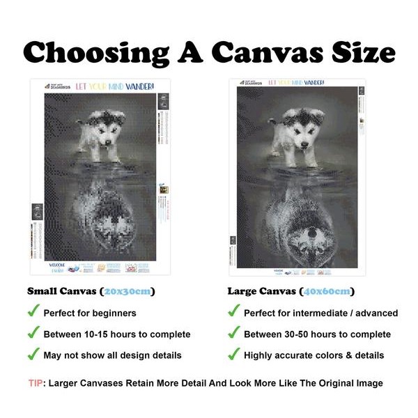 Dream Big - Ships From US