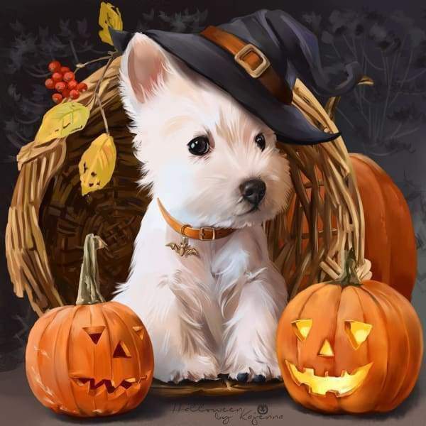 Puppies And Pumpkins