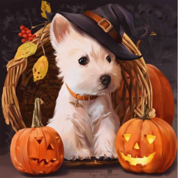 Puppies And Pumpkins