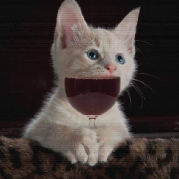 Cat Wine