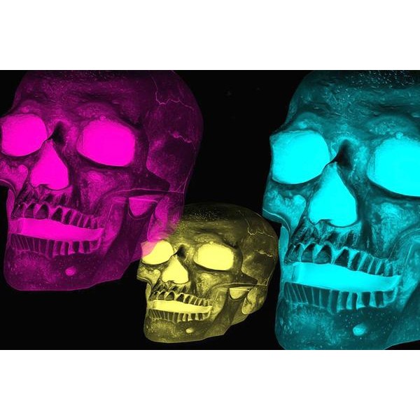 Tri Chrome Skulls