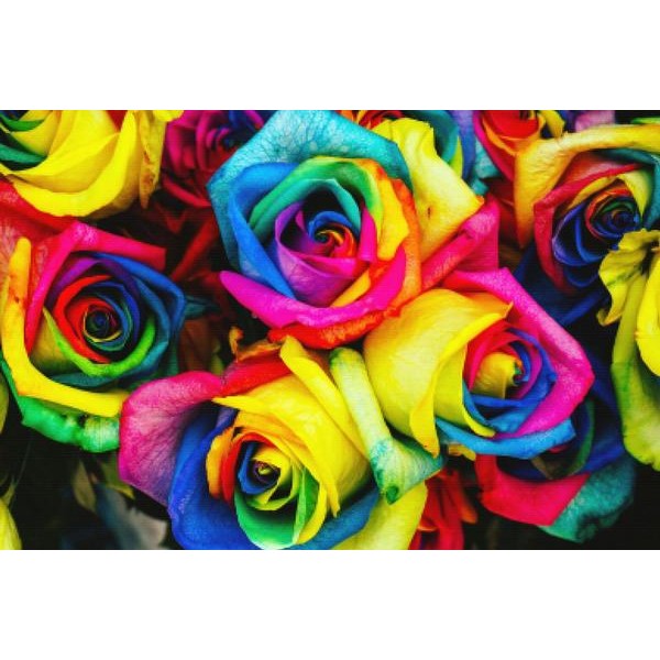 Rainbow Bouquet