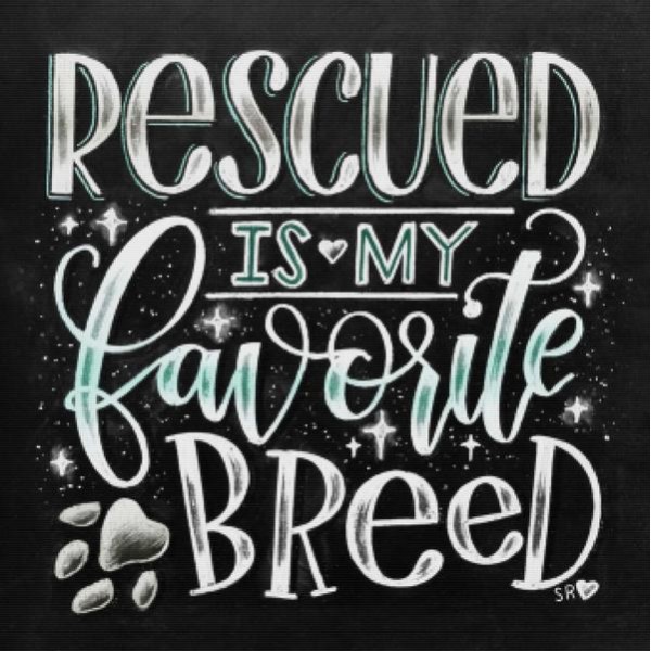 Rescued Is My Favorite Breed