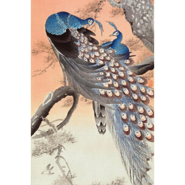 Two Peacocks On Tree Branch