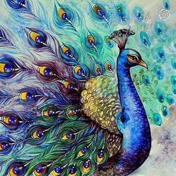 Azure Peacock