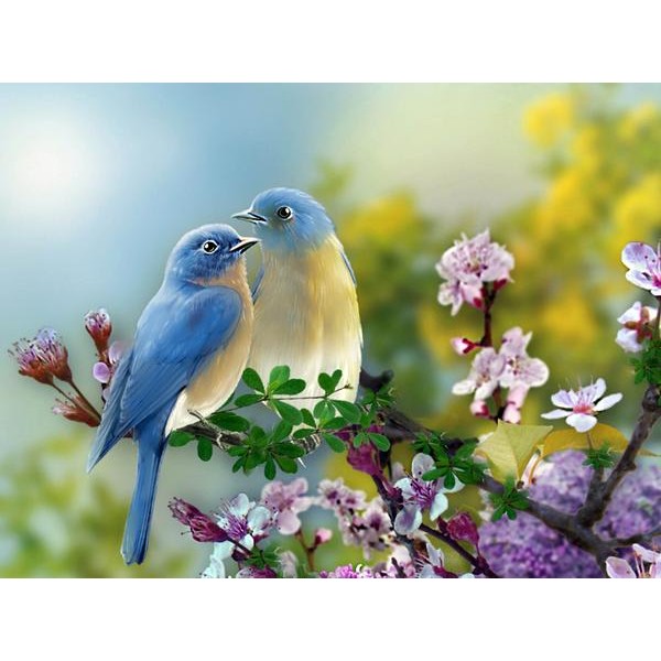 Pretty Blue Birds