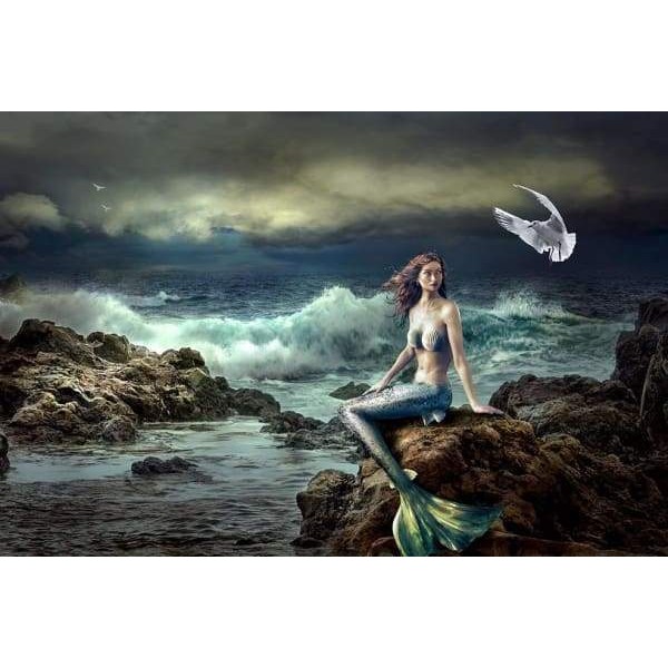 Mermaid On The Rocks