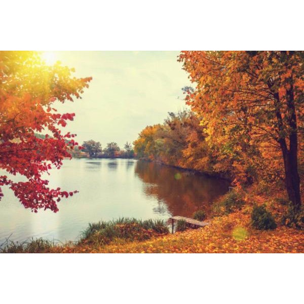 Autumn Creek At Sunset