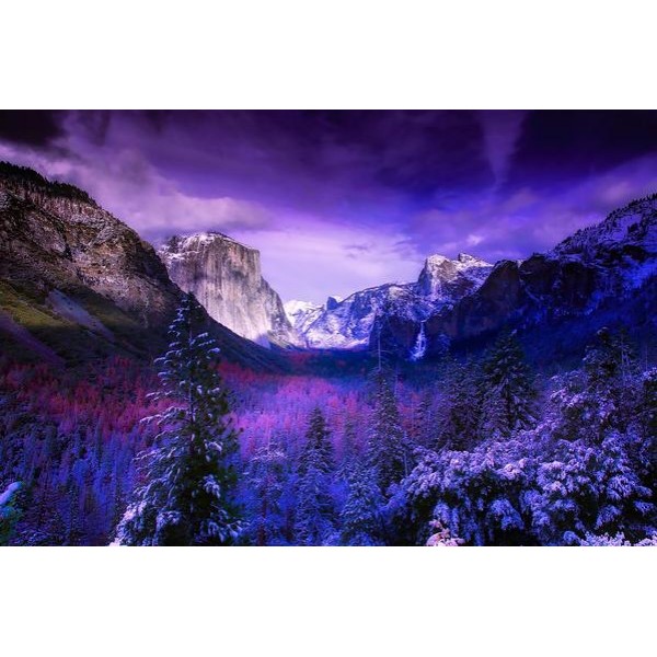 Yosemite National Park