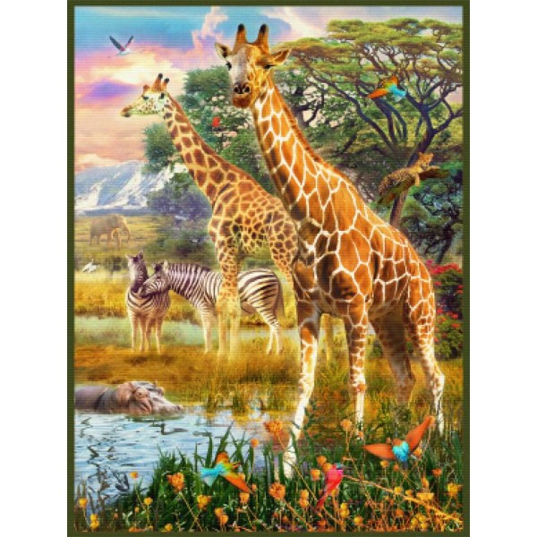 Giraffes