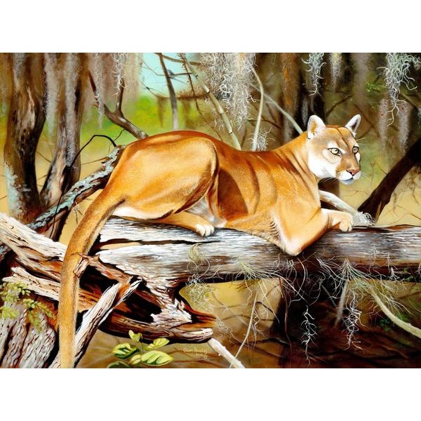 Florida Panther